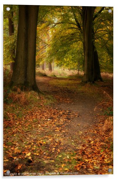 Autumn Walk Cannock Chase Acrylic by Ann Garrett