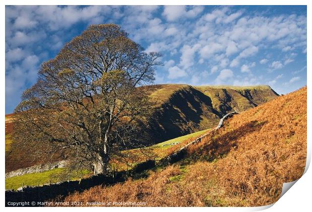 Lonsdale Fell and Lonsdale Pike Lake District Landscape Print by Martyn Arnold