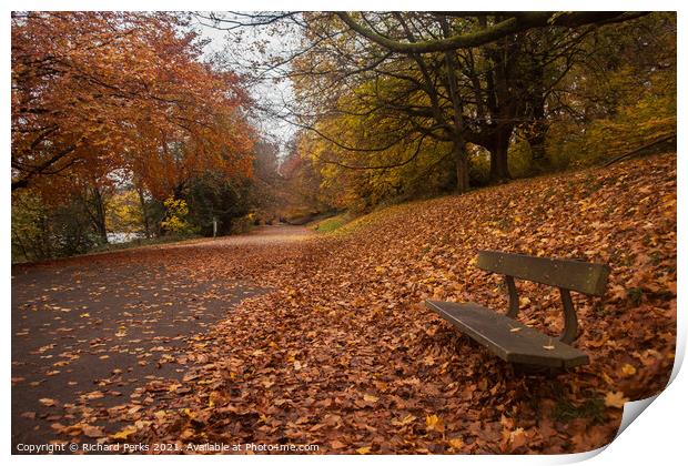  A carpet of Autumn leaves Print by Richard Perks