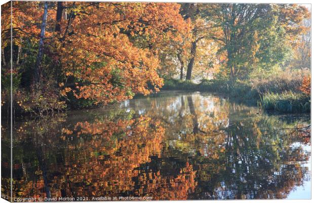 Autumn Reflections Canvas Print by David Morton