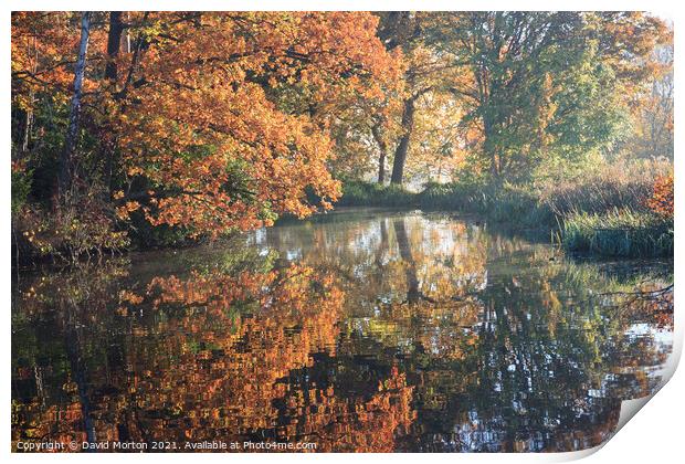 Autumn Reflections Print by David Morton