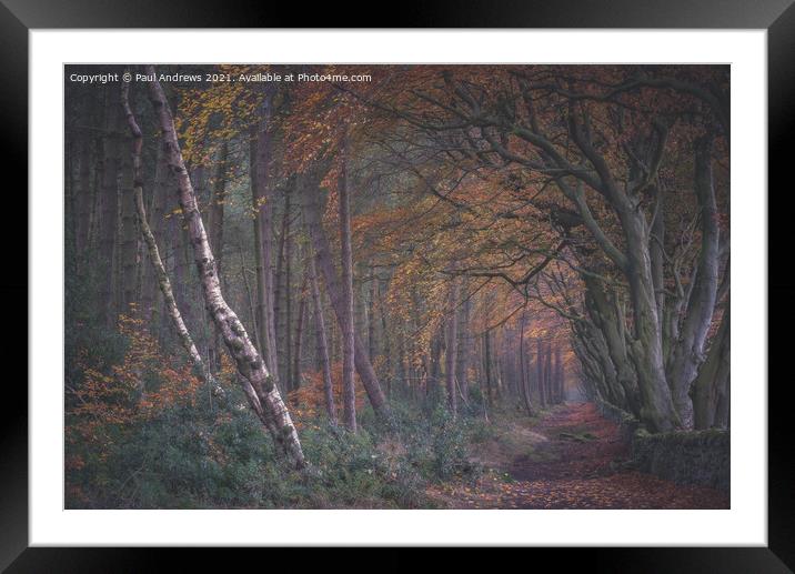 Darwin Forrest Framed Mounted Print by Paul Andrews