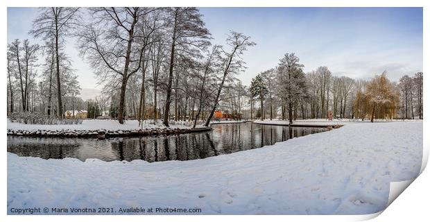 Winter landscape in snowy park with small pond Print by Maria Vonotna