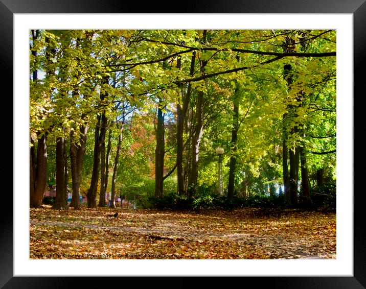 A Walk in the Woods Framed Mounted Print by Stephanie Moore