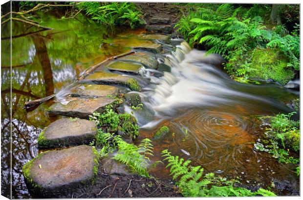 Third Coppice Stepping Stones, Rivelin   Canvas Print by Darren Galpin