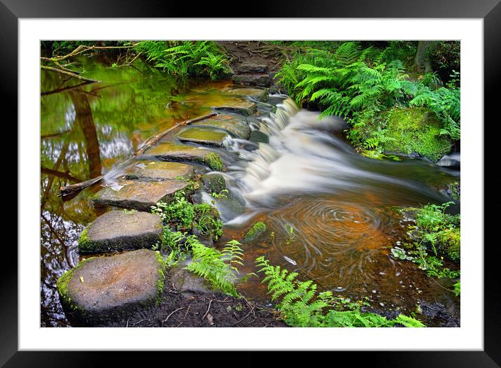 Third Coppice Stepping Stones, Rivelin   Framed Mounted Print by Darren Galpin
