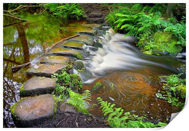 Third Coppice Stepping Stones, Rivelin   Print by Darren Galpin