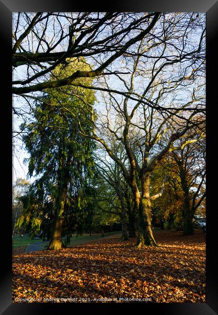 Autumn scenes, Merthyr Tydfil, South Wales, UK. Framed Print by Andrew Bartlett