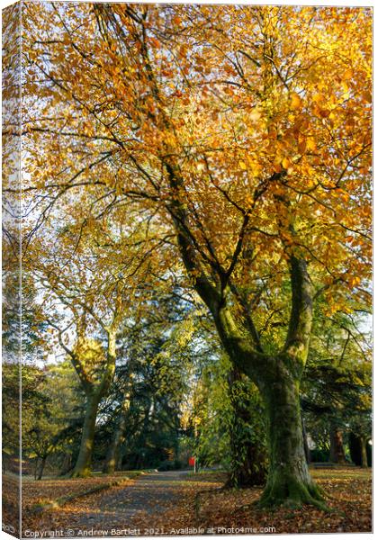 Autumn scenes, Merthyr Tydfil, South Wales, UK. Canvas Print by Andrew Bartlett