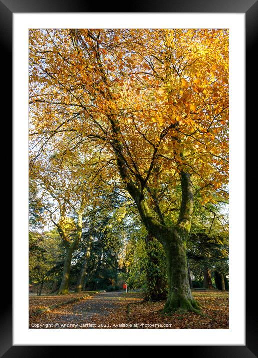 Autumn scenes, Merthyr Tydfil, South Wales, UK. Framed Mounted Print by Andrew Bartlett