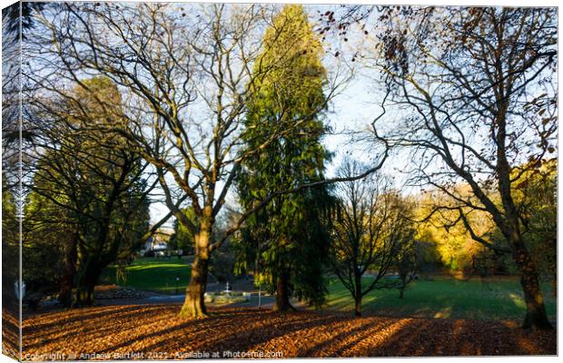 Autumn scenes, Merthyr Tydfil, South Wales, UK. Canvas Print by Andrew Bartlett