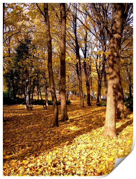 Golden Fall Trees Print by Stephanie Moore
