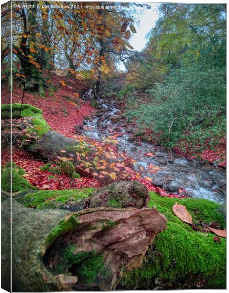 "Nature's Symphony: Autumn Cascade" Canvas Print by Lee Kershaw