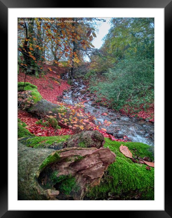 "Nature's Symphony: Autumn Cascade" Framed Mounted Print by Lee Kershaw