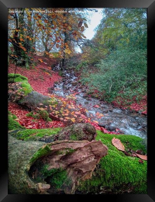 "Nature's Symphony: Autumn Cascade" Framed Print by Lee Kershaw