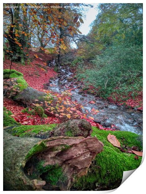 "Nature's Symphony: Autumn Cascade" Print by Lee Kershaw