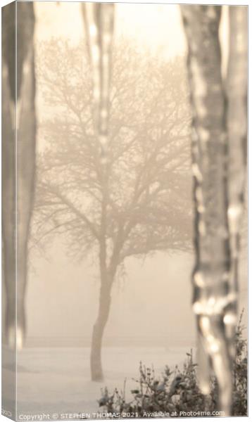 My Cold Foggy Sunday Morning View Canvas Print by STEPHEN THOMAS