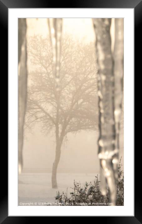 My Cold Foggy Sunday Morning View Framed Mounted Print by STEPHEN THOMAS