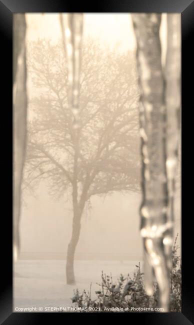 My Cold Foggy Sunday Morning View Framed Print by STEPHEN THOMAS