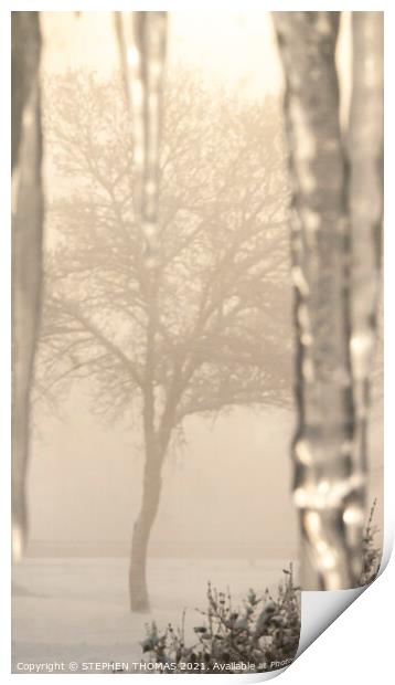 My Cold Foggy Sunday Morning View Print by STEPHEN THOMAS