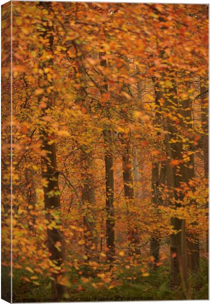 Autumn Colour Canvas Print by Simon Johnson