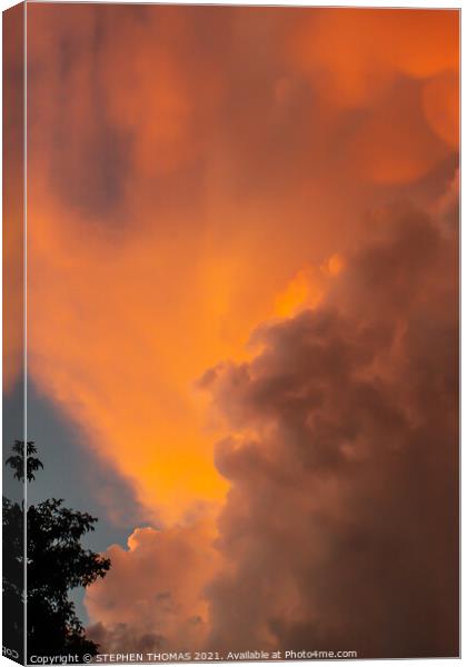 Lion in the Clouds Canvas Print by STEPHEN THOMAS