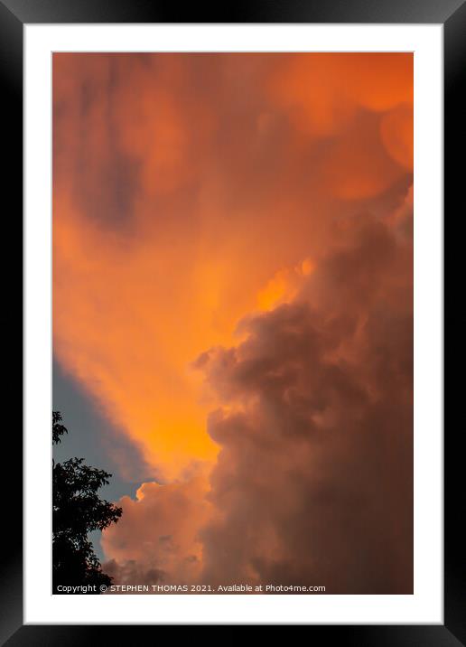 Lion in the Clouds Framed Mounted Print by STEPHEN THOMAS