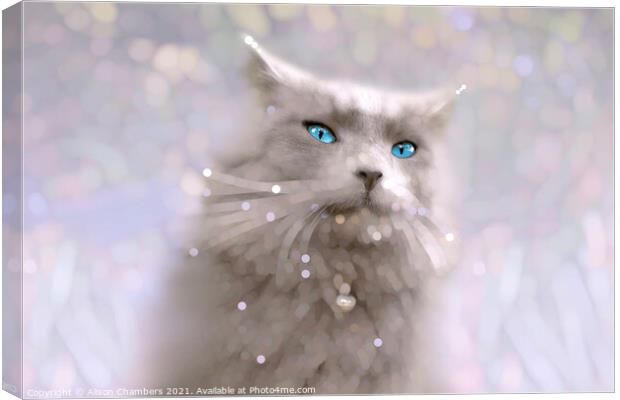 Blue Eyes Canvas Print by Alison Chambers