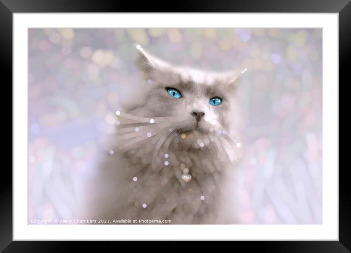 Blue Eyes Framed Mounted Print by Alison Chambers