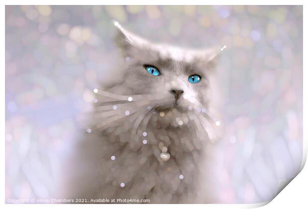 Blue Eyes Print by Alison Chambers