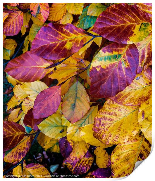 Autumn leaves Print by Cliff Kinch