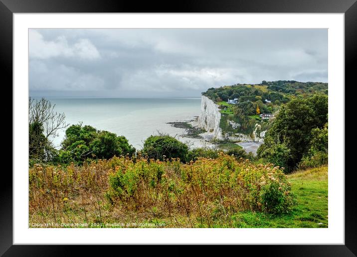 St Margarets Bay from the cliffs Framed Mounted Print by Diana Mower
