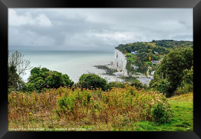 St Margarets Bay from the cliffs Framed Print by Diana Mower
