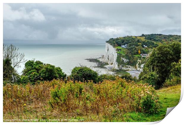St Margarets Bay from the cliffs Print by Diana Mower