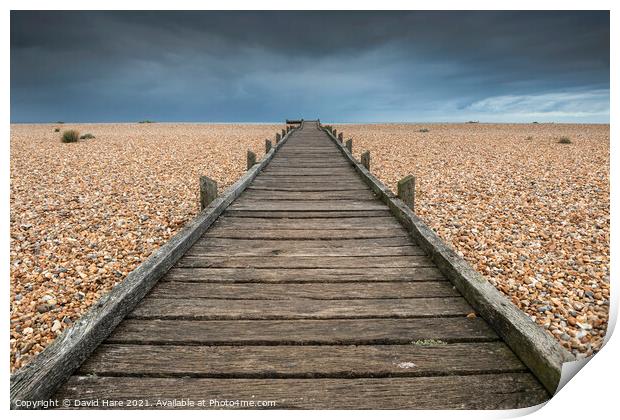 Wooden Walkway Print by David Hare