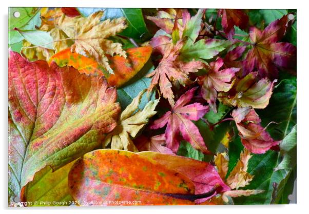 Autumn Leaves Colour Acrylic by Philip Gough