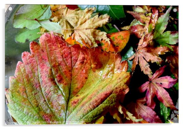 Colour In Autumn Acrylic by Philip Gough