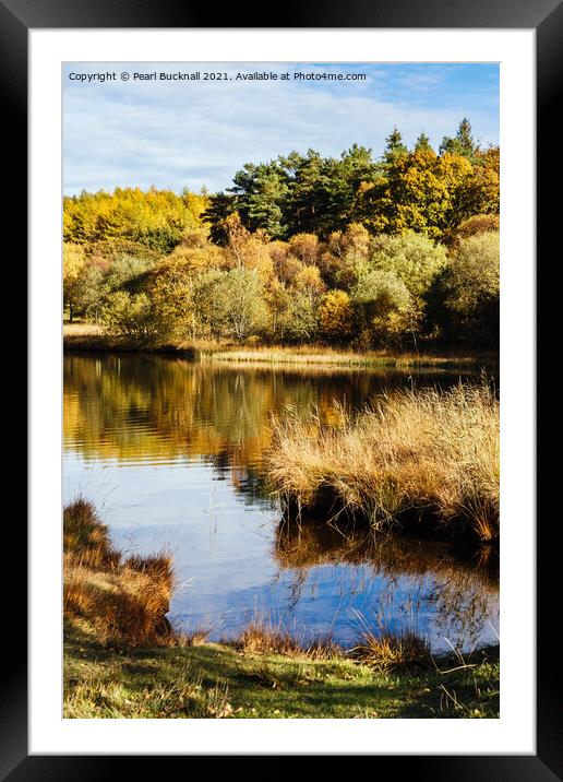 Autumn at Llyn Geirionydd Lake Snowdonia Framed Mounted Print by Pearl Bucknall