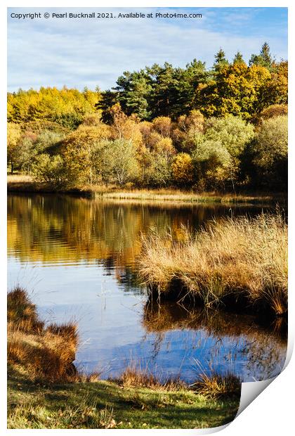Autumn at Llyn Geirionydd Lake Snowdonia Print by Pearl Bucknall