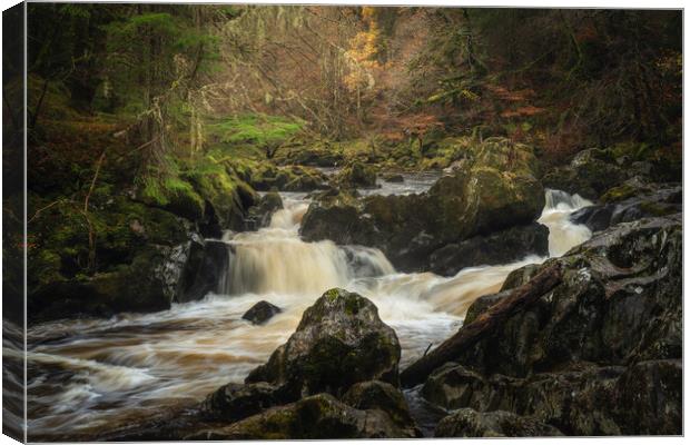 The River Braan at Dunkeld Canvas Print by Anthony McGeever
