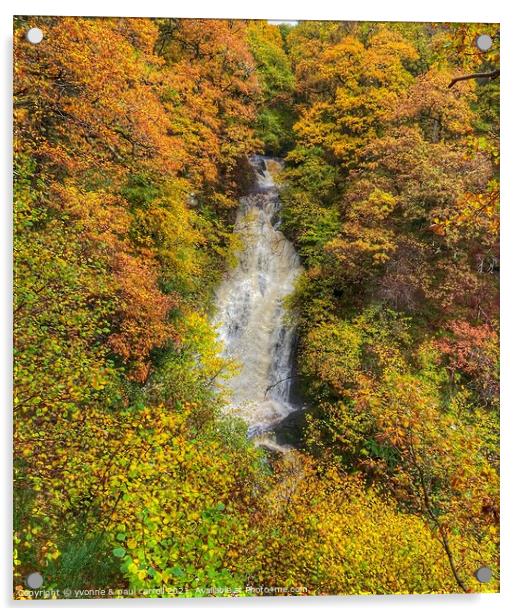 Black Spout Falls, Pitlochry in autumn Acrylic by yvonne & paul carroll