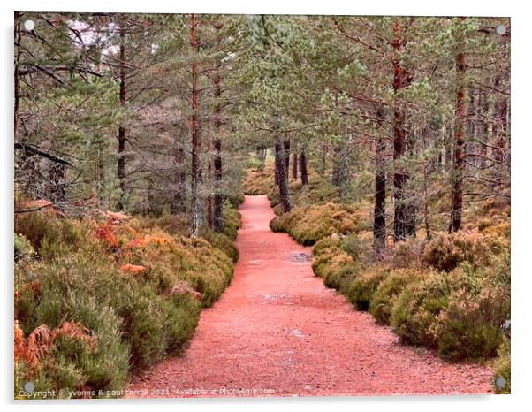 Walking in the forest around Loch an Eileen Acrylic by yvonne & paul carroll