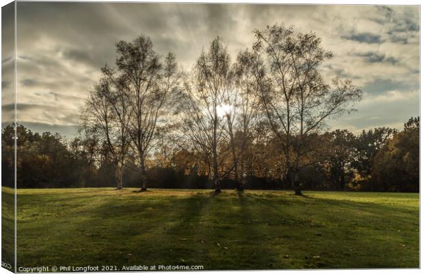 Beautiful sunset in Calderstones Park Liverpool on a Autumn day Canvas Print by Phil Longfoot