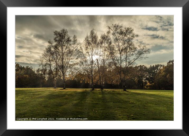 Beautiful sunset in Calderstones Park Liverpool on a Autumn day Framed Mounted Print by Phil Longfoot