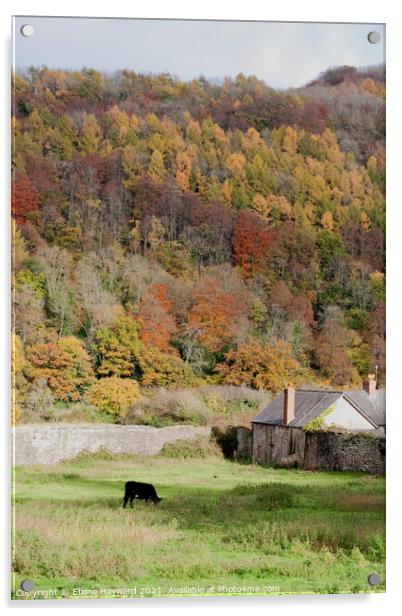 Wye Valley autumn at Tintern Acrylic by Elaine Hayward