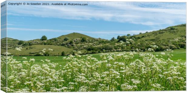 Pitstone Hill Canvas Print by Jo Sowden