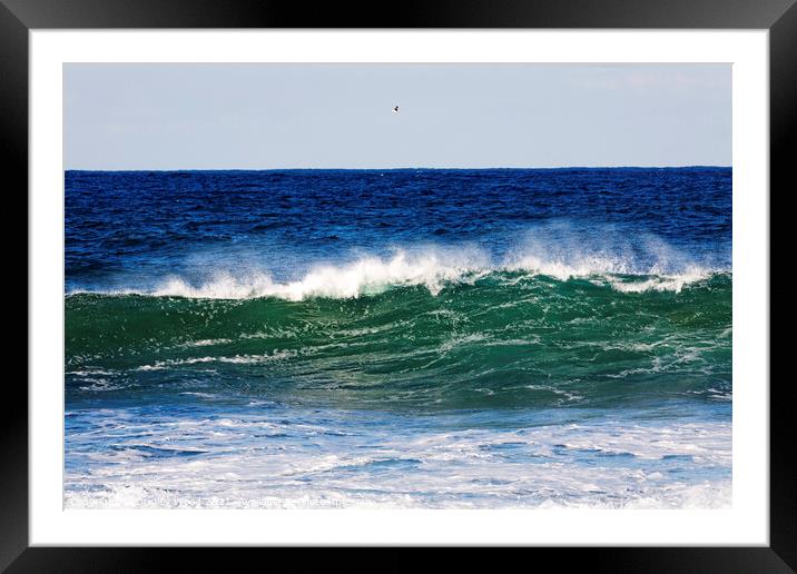 Majestic Seagull Over a Turbulent Sea Framed Mounted Print by Dudley Wood