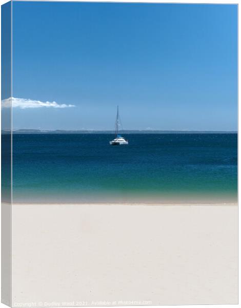 Serene Sailing Adventure Canvas Print by Dudley Wood