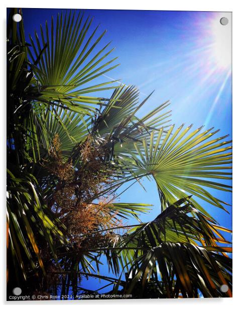 Blazing sun, blue sky, palm tree leaves Acrylic by Chris Rose