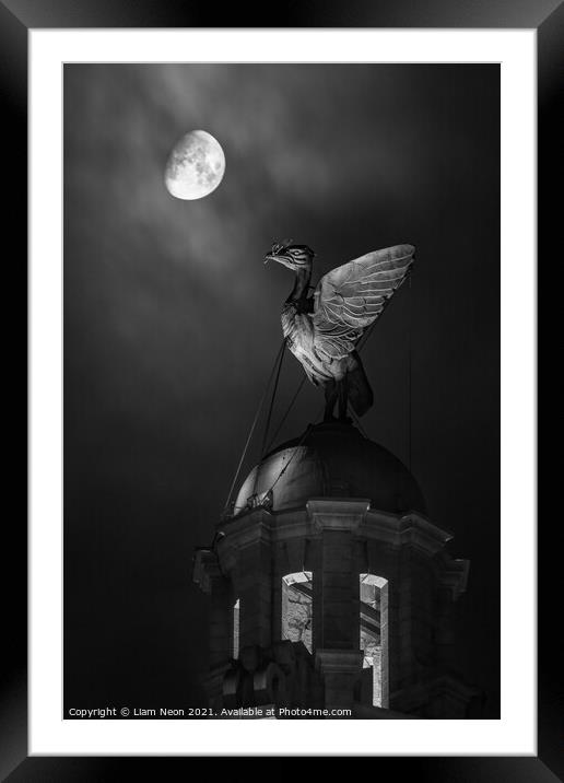 Monochrome Lunar Liverbird, Liverpool Waterfront Framed Mounted Print by Liam Neon